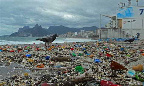 no verão de 2018 foi realizada uma análise do lixo deixado em uma praia do litoral brasileiro